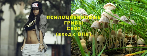 синтетический гашиш Медвежьегорск