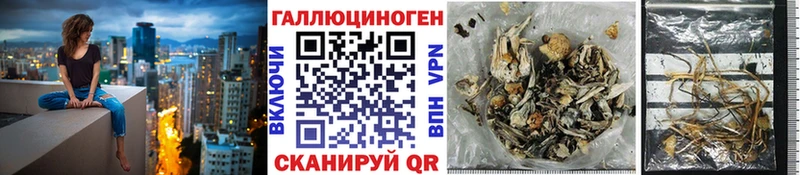 Псилоцибиновые грибы Psilocybe  Купить где  Красавино 