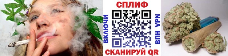 Купить где  Красавино  Бошки марихуана OG Kush 